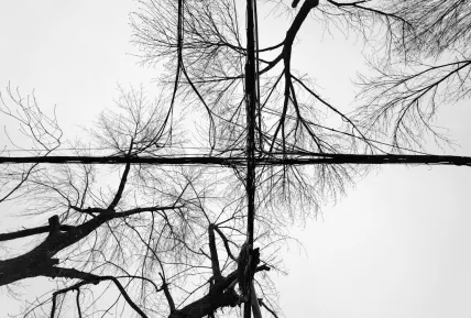 Crystal Casino App Mobile